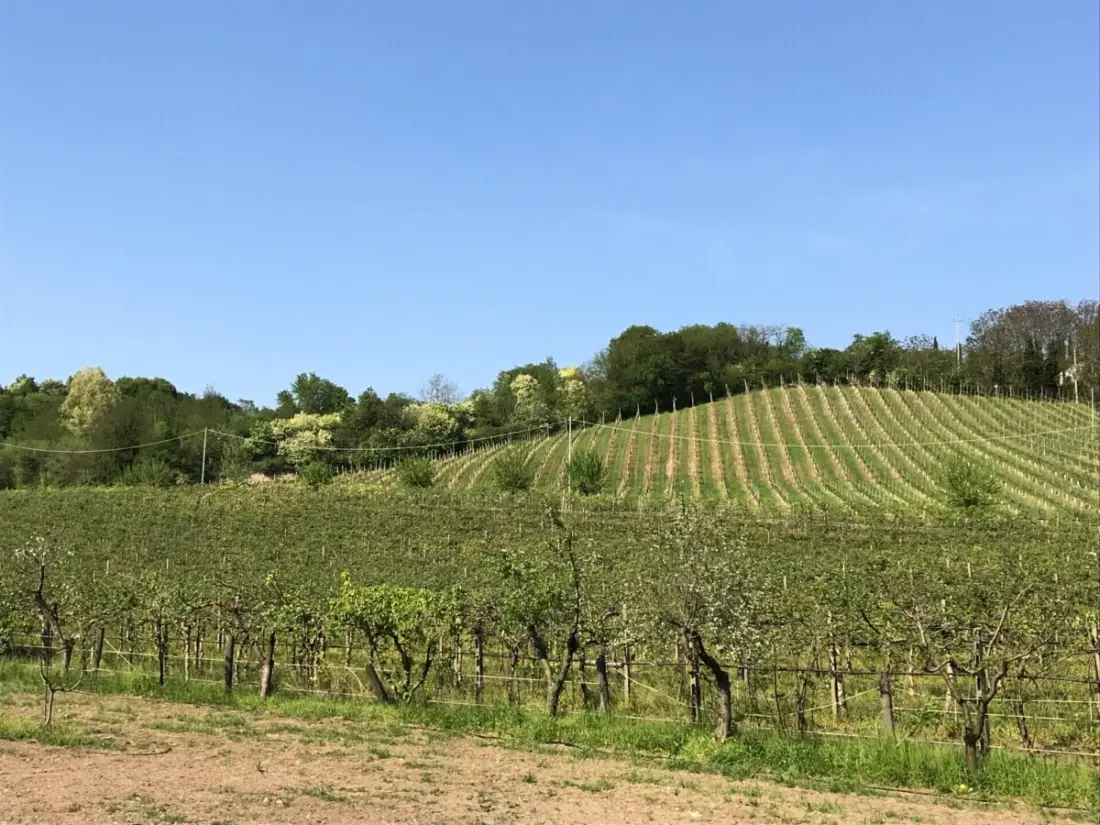 Agriturismo Le Sorgive e Le Volpi (Vodatent)