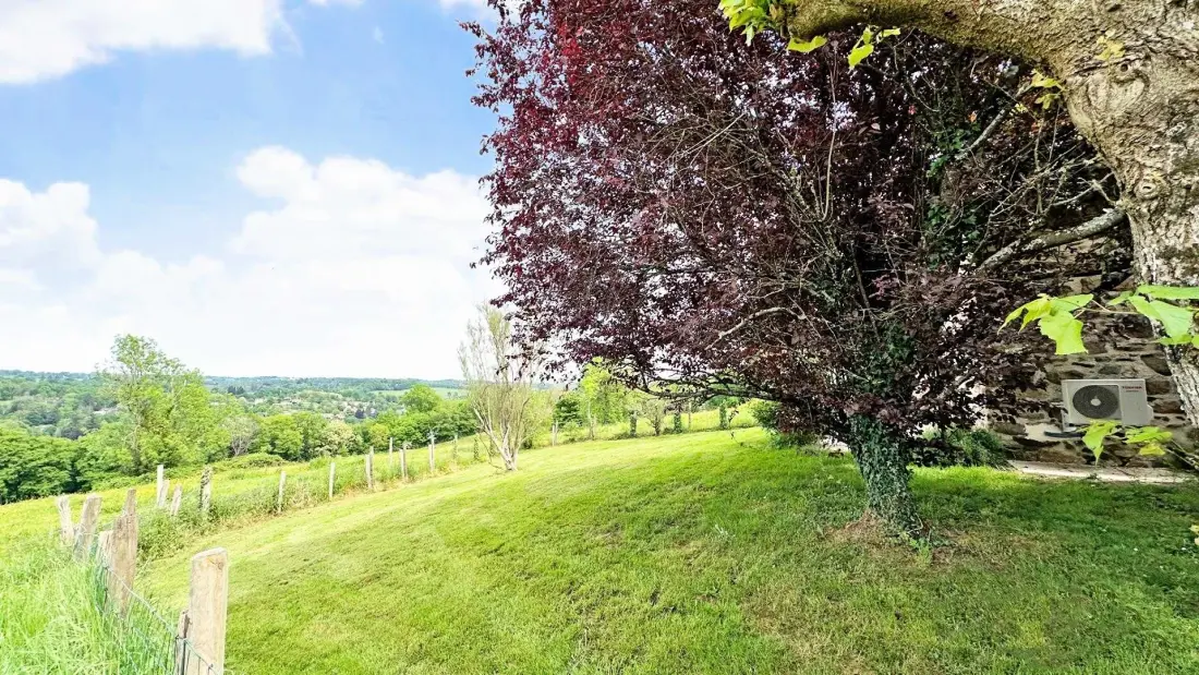 Gîte de France De onderzoeker 3 oren