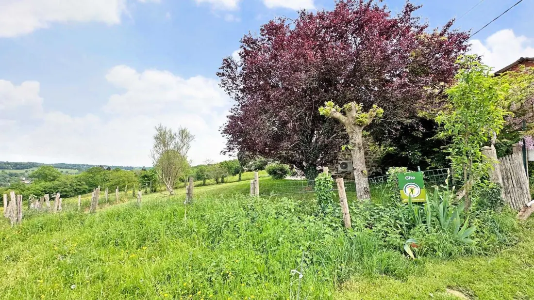 Gîte de France De onderzoeker 3 oren