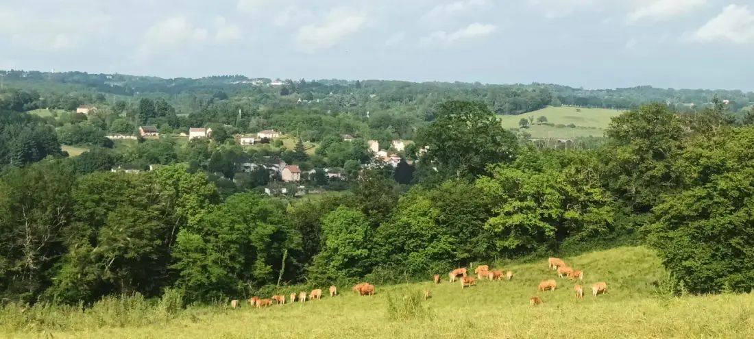 Gîte de France De onderzoeker 3 oren