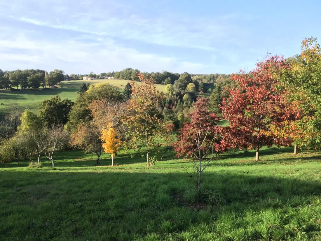 Gîte de France Leygat 3 oren