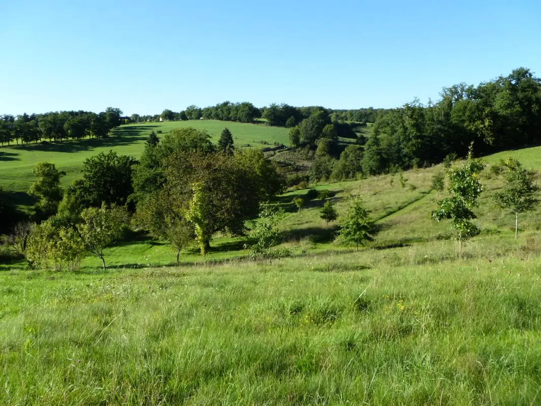 Gîte de France Leygat 3 oren