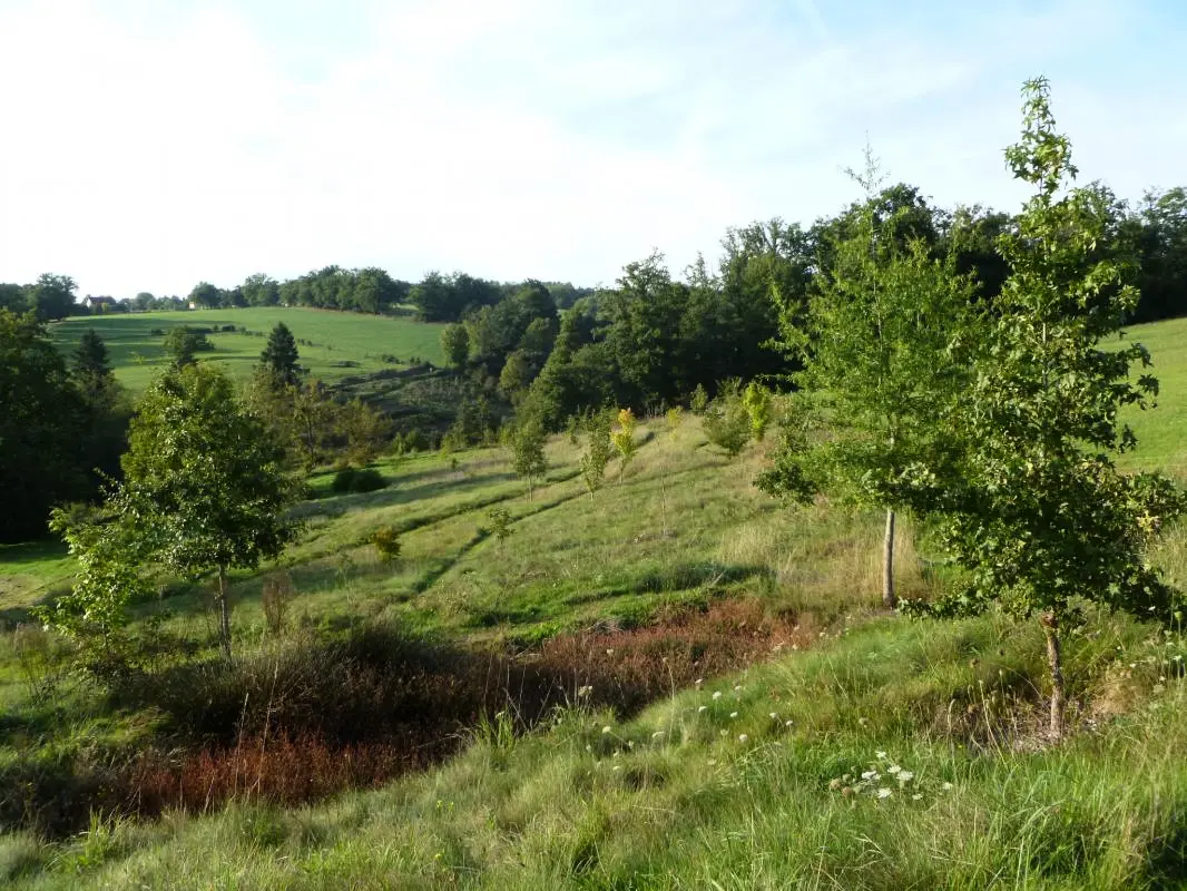 Gîte de France Leygat 3 oren