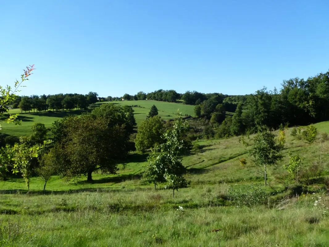 Gîte de France Leygat 3 oren