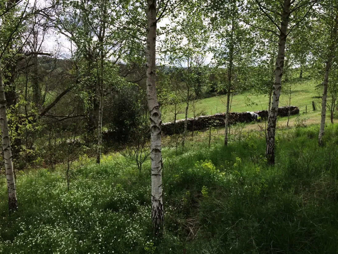 Gîte de France Leygat 3 oren