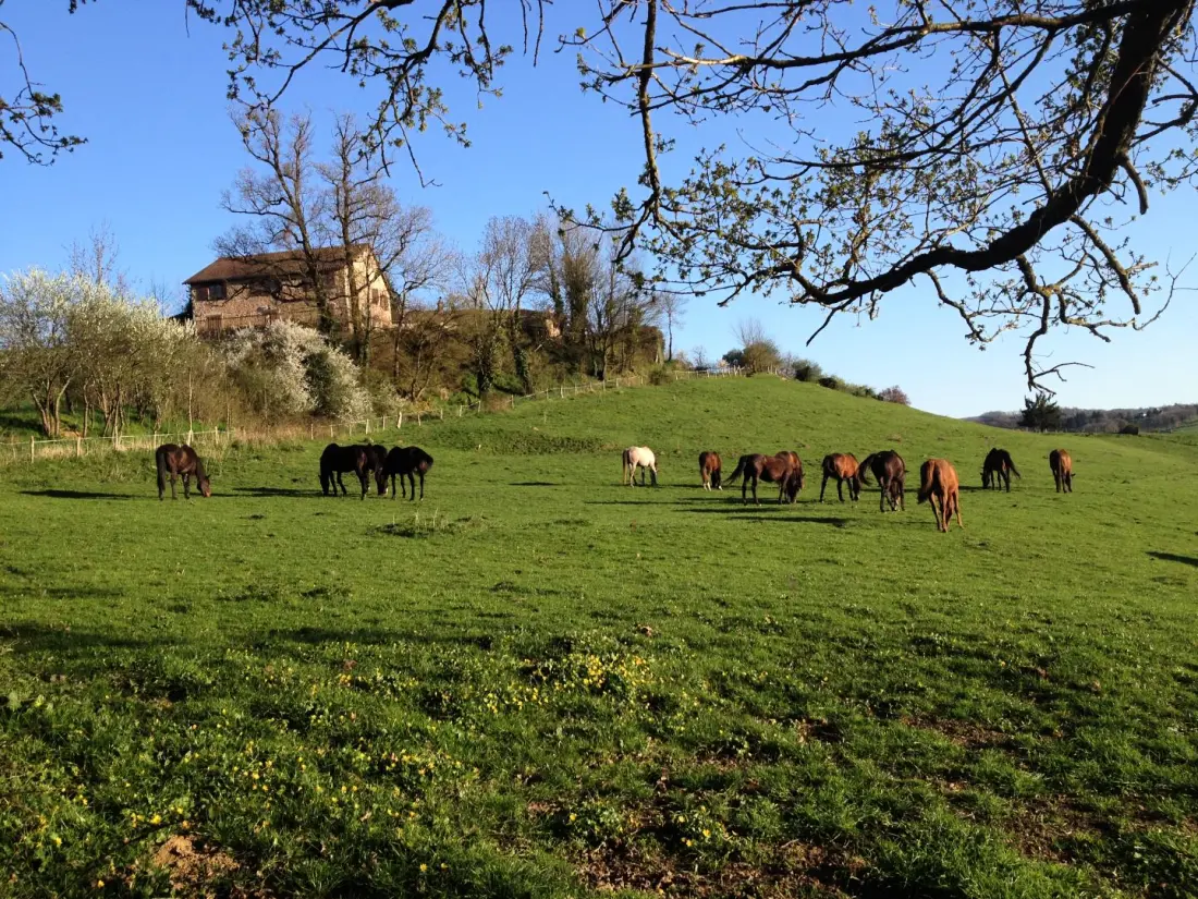 Gîte de France Leygat 3 oren