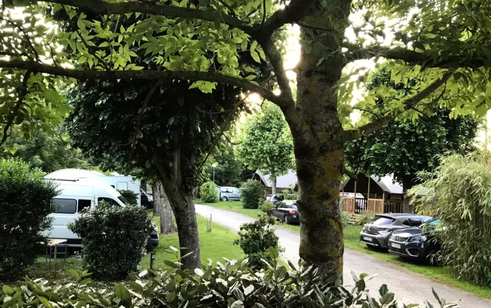 Blumen Camping Saint Martin 3 Sterne★★★