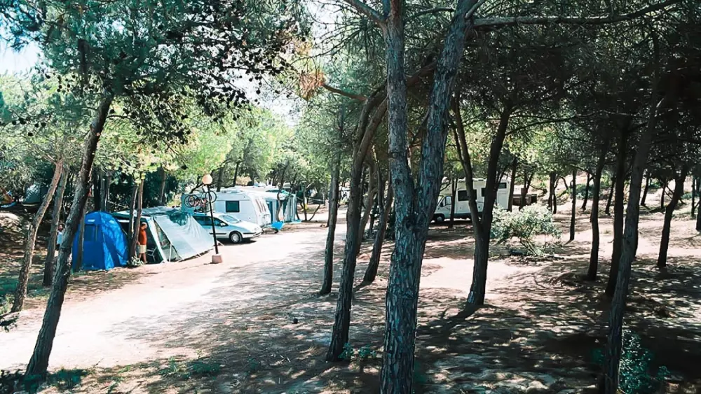 Campsite Bella Italia Sardinia 5 Stars★★★★★
