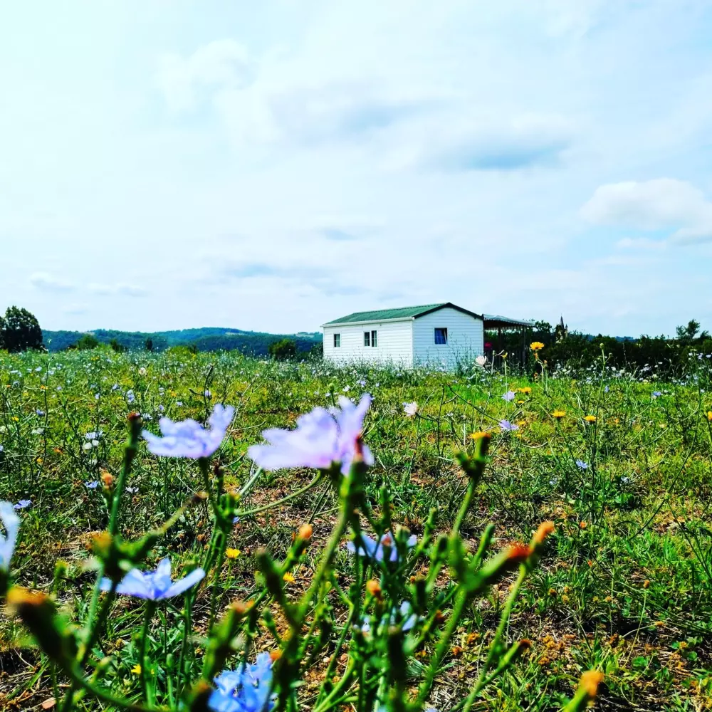 Camping Nature Le Valenty 3 Sterne★★★