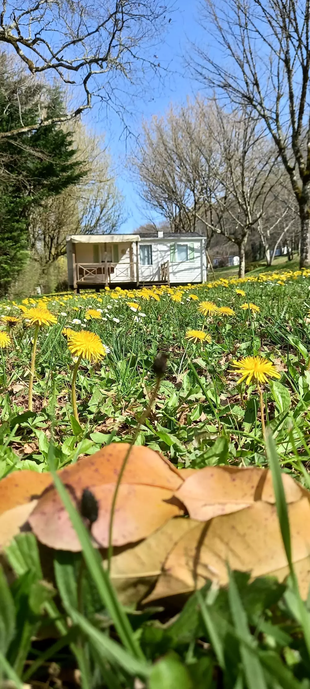 Camping Nature Le Valenty 3 Sterne★★★