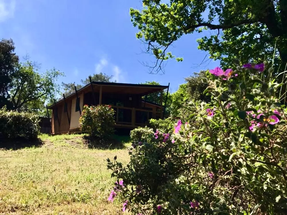 Camping des Pins - Soulac 4 Sterren★★★★