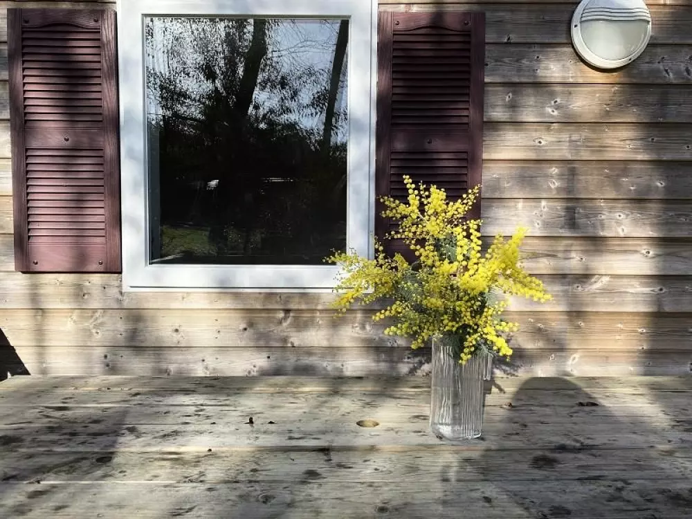 Camping des Pins - Soulac 4 Sterren★★★★