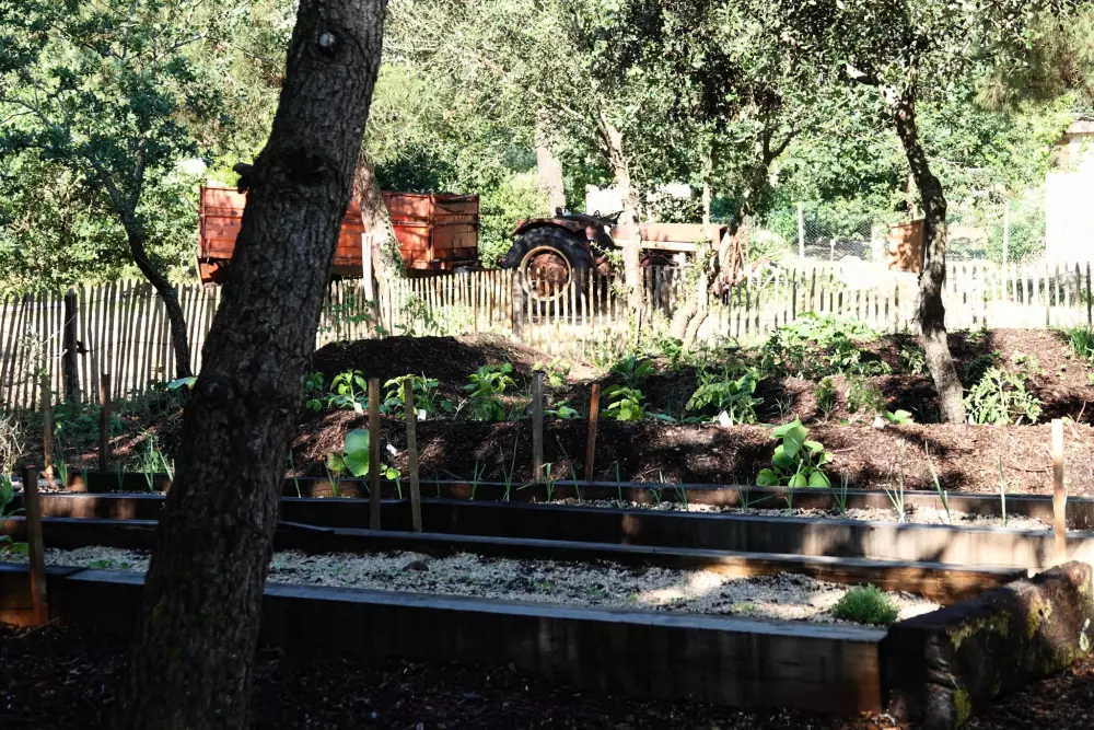 Camping des Pins - Soulac 4 Sterren★★★★