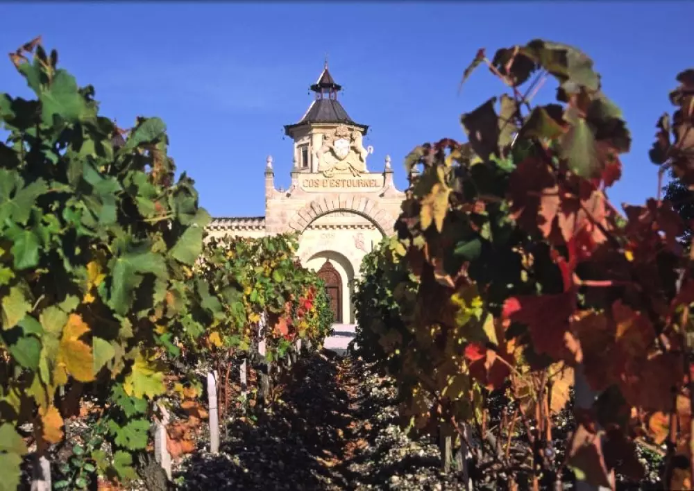 Camping des Pins - Soulac 4 Sterren★★★★