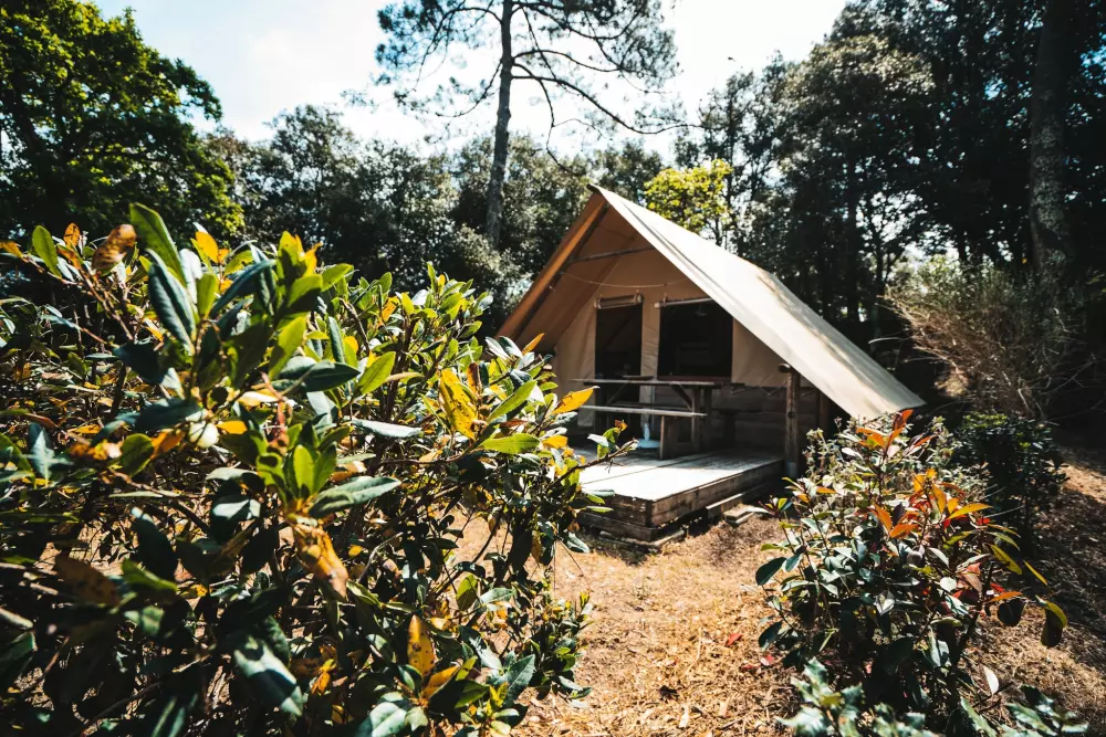 Camping des Pins - Soulac 4 Sterren★★★★