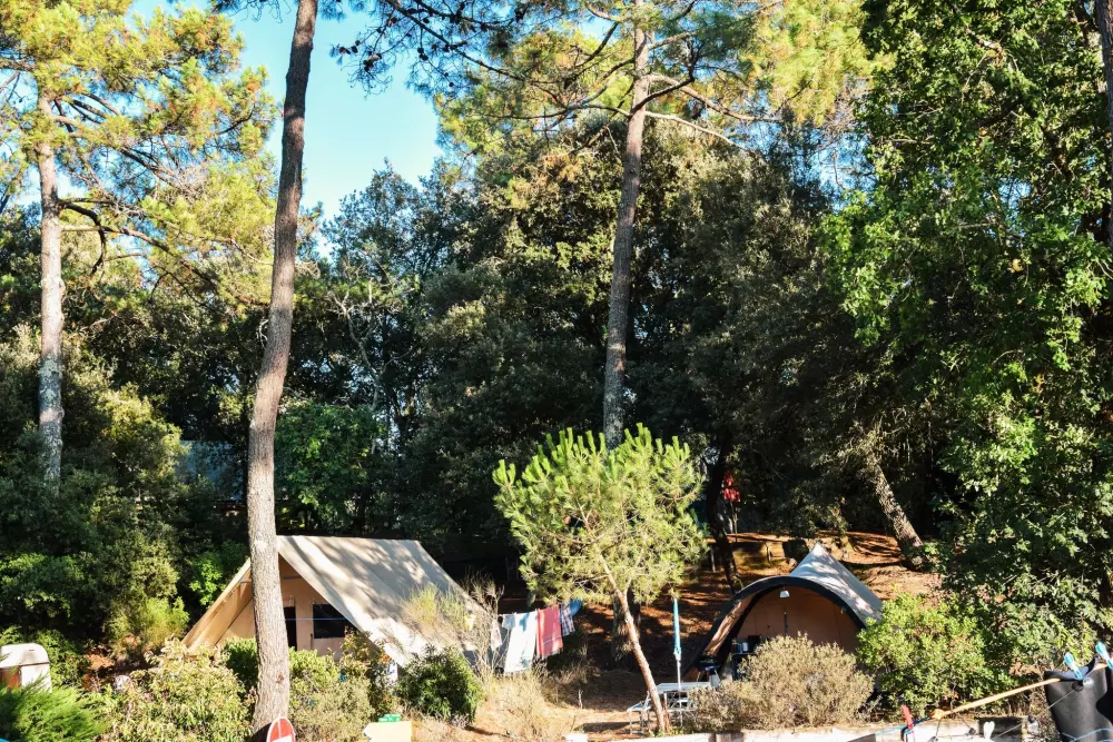 Camping des Pins - Soulac 4 Sterren★★★★