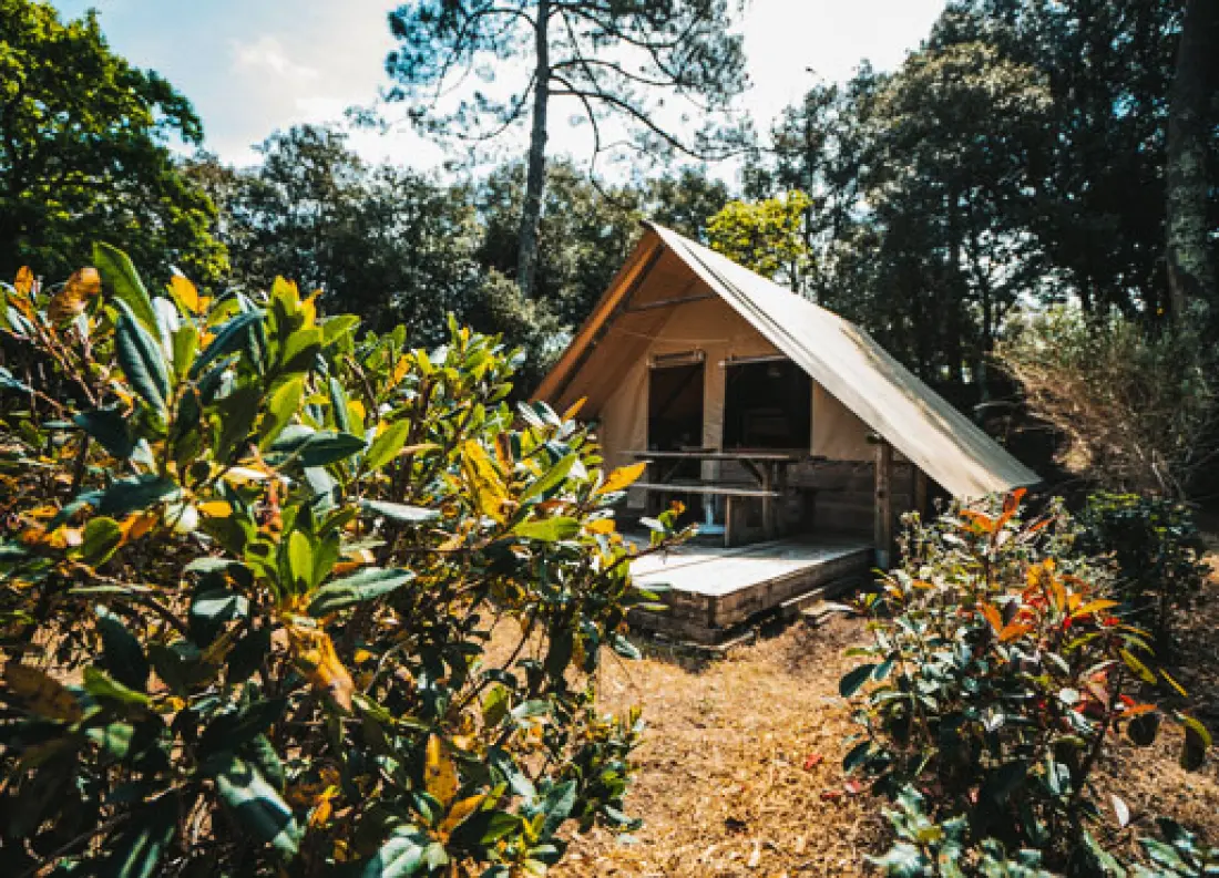 Nicoll's Camp/Pins 4 Estrellas★★★★