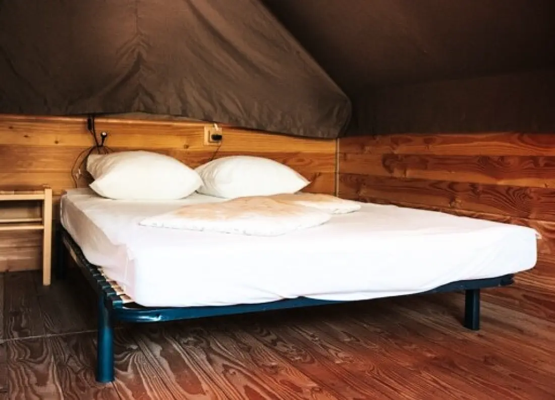Nicoll's Camp/Pins 4 Estrellas★★★★