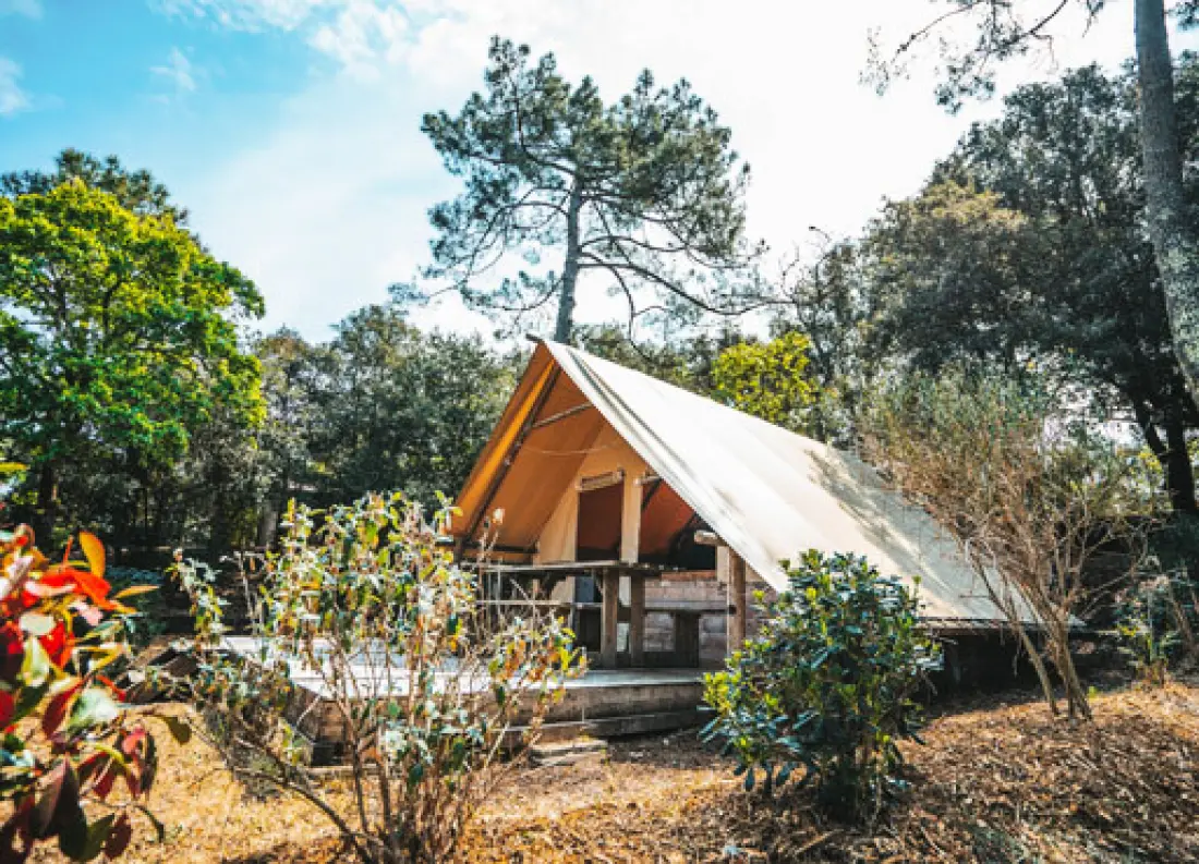 Nicoll's Camp/Pins 4 Estrellas★★★★