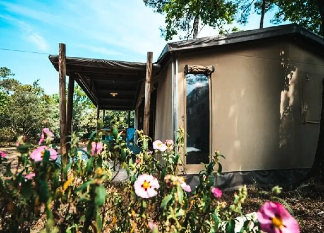 Nicoll's Camp/Pins 4 Estrellas★★★★