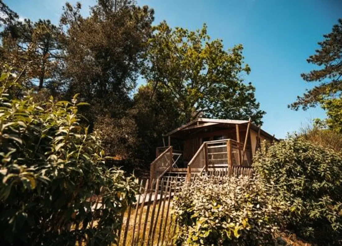 Nicoll's Camp/Pins 4 Estrellas★★★★