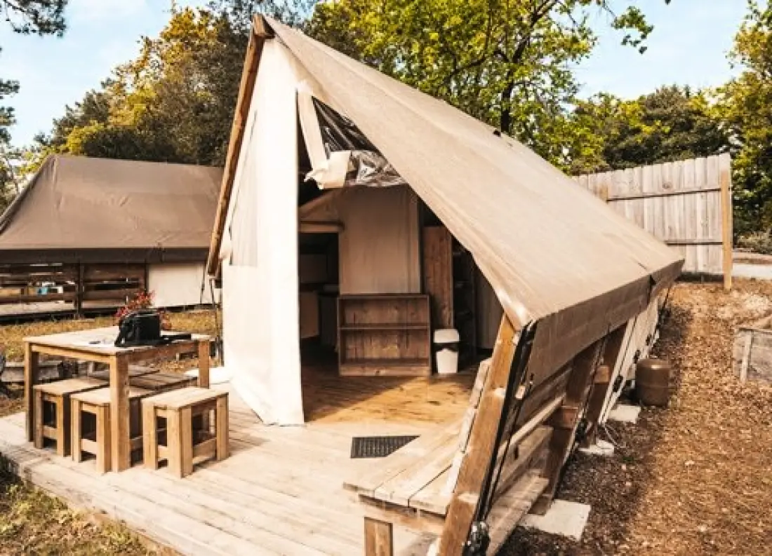 Nicoll's Camp/Pins 4 Estrellas★★★★