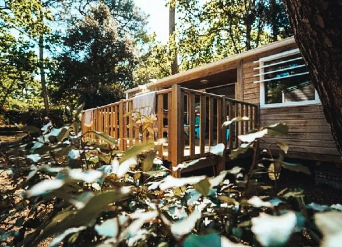 Nicoll's Camp/Pins 4 Estrellas★★★★