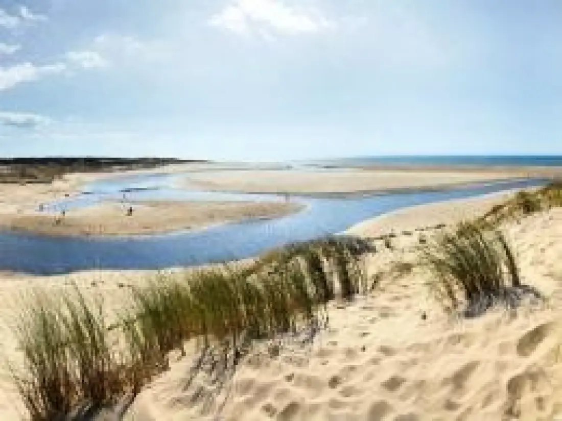 Camping Natur L'Airial6 Stjerner★★★★★★