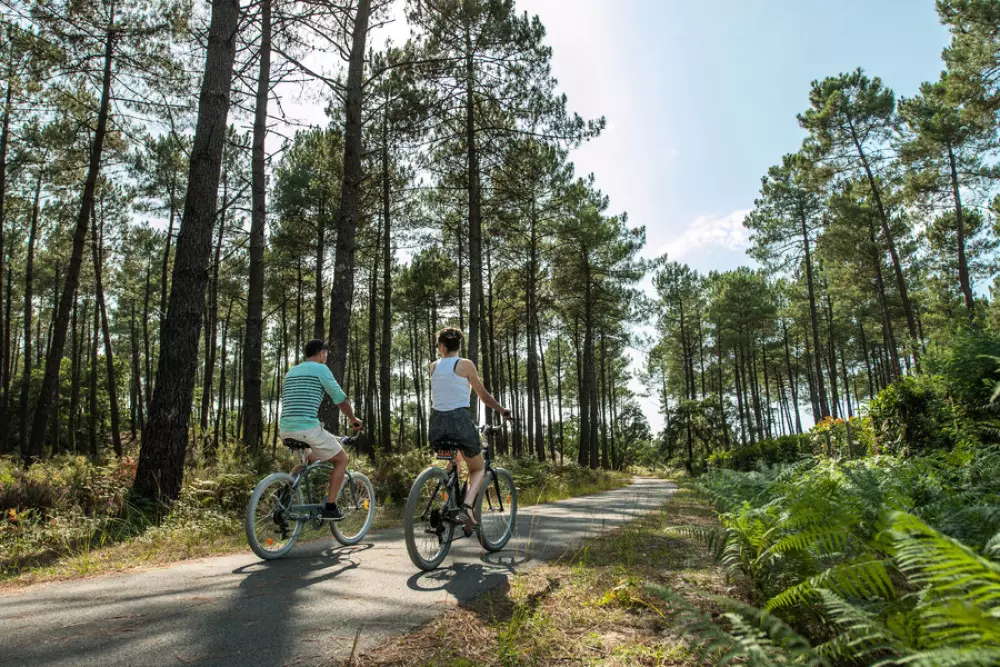 Camping Sandaya Soustons Village 5 Estrellas★★★★★