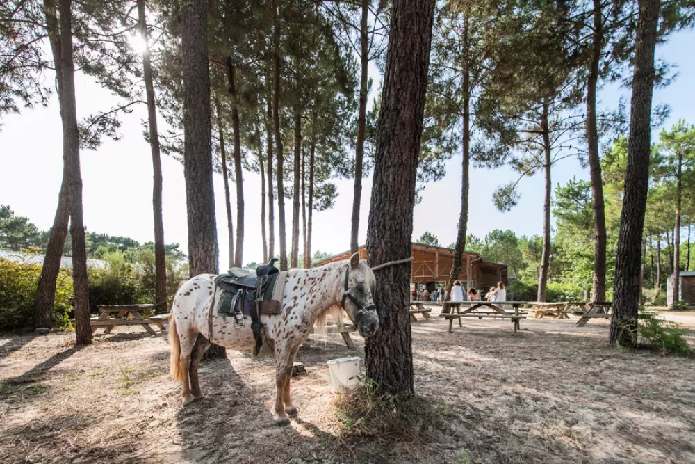 Camping Sandaya Soustons Village 5 Estrellas★★★★★