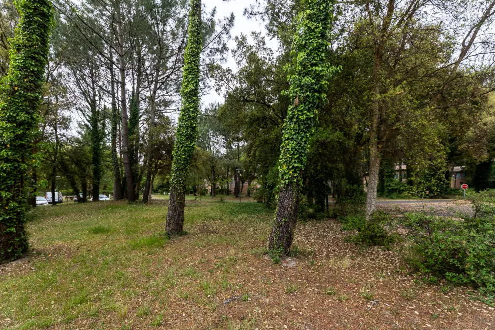 Il Domaine du Golf de Pinsolle - maeva Home