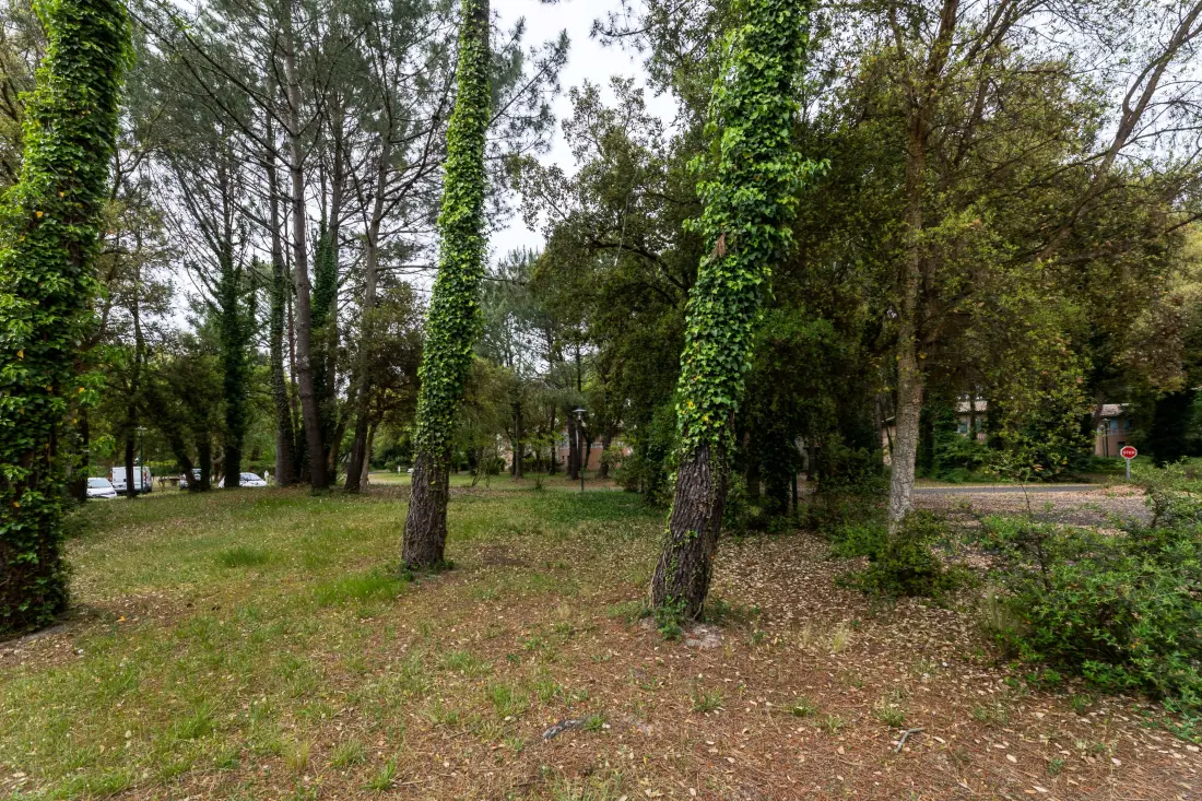 Die Domaine du Golf de Pinsolle - maeva Home