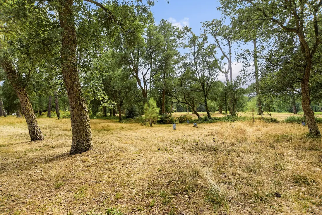 A Domaine du Golf de Pinsolle - maeva Home