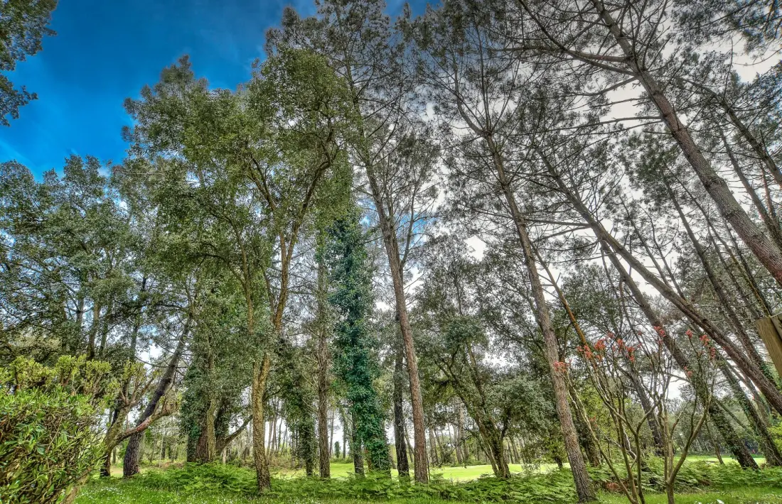 Las casas del Domaine du Golf de Pinsolle - maeva Home