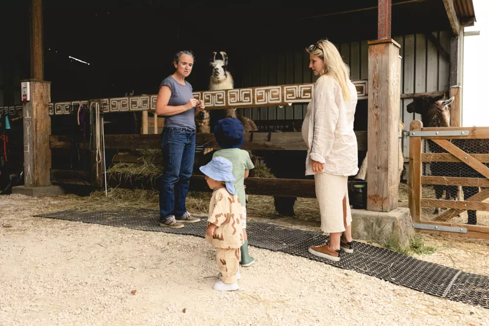 Lama Émoi - Parcel Tiny House