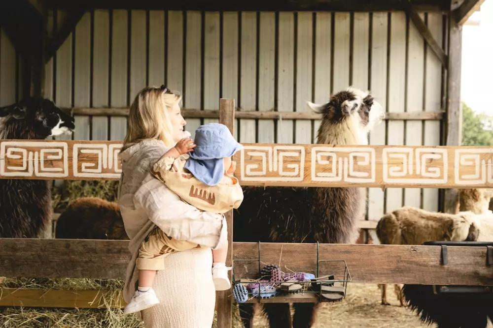 Lama Émoi - Parcel Tiny House