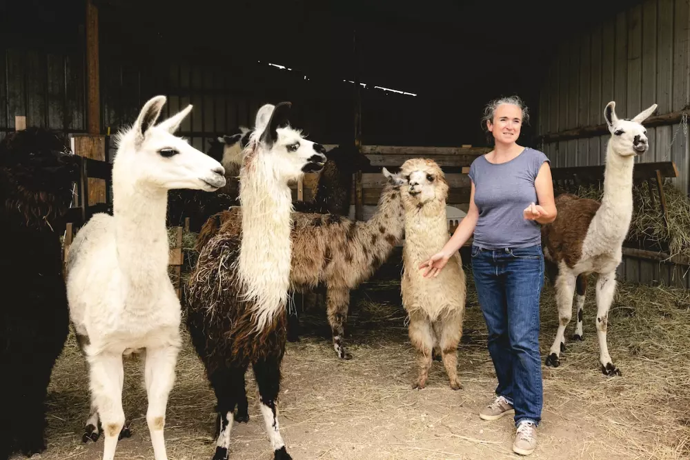 Lama Émoi - Parcel Tiny House