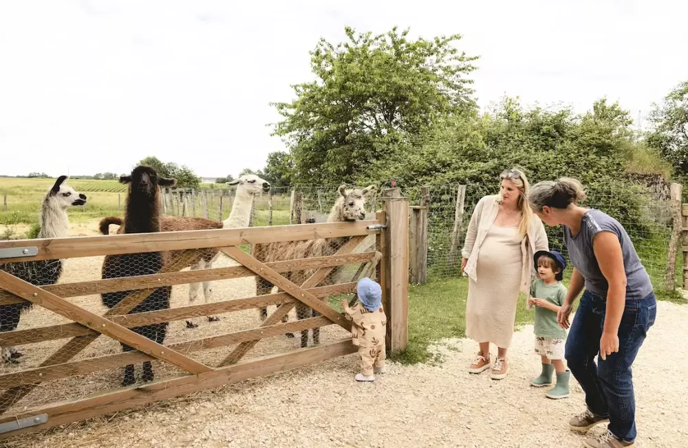 Lama Émoi - Parcel Tiny House