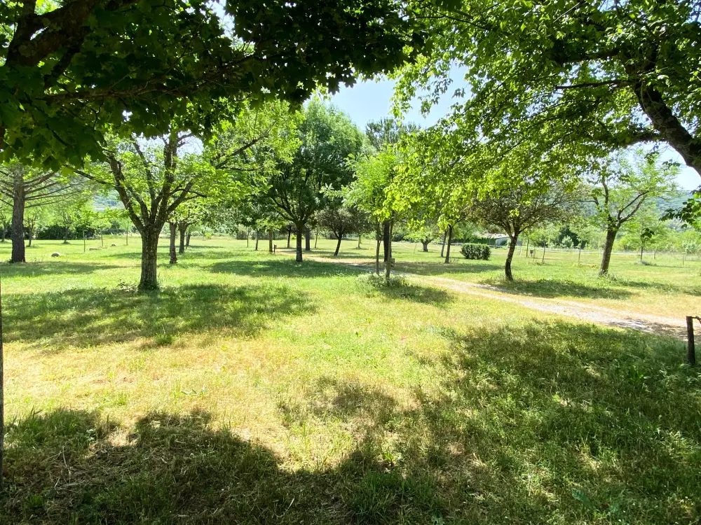 Camping Le Bardou 3 Sterren★★★