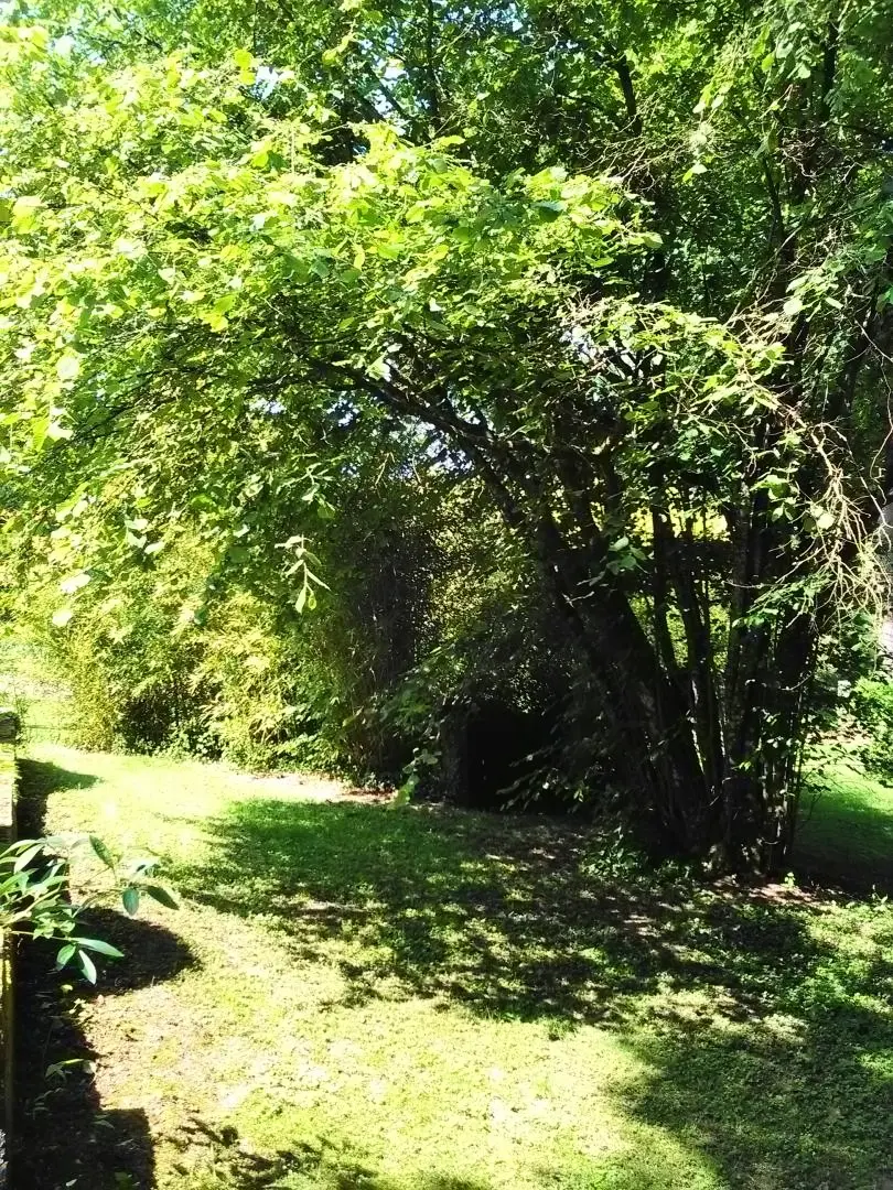 Gîte de France Le cailloutis 2 Ähren