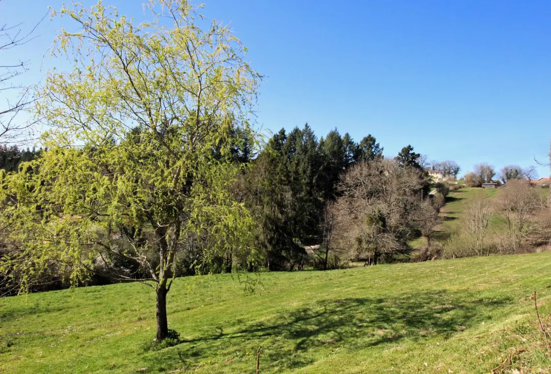 Gîte de France Onder de 3 korenaren