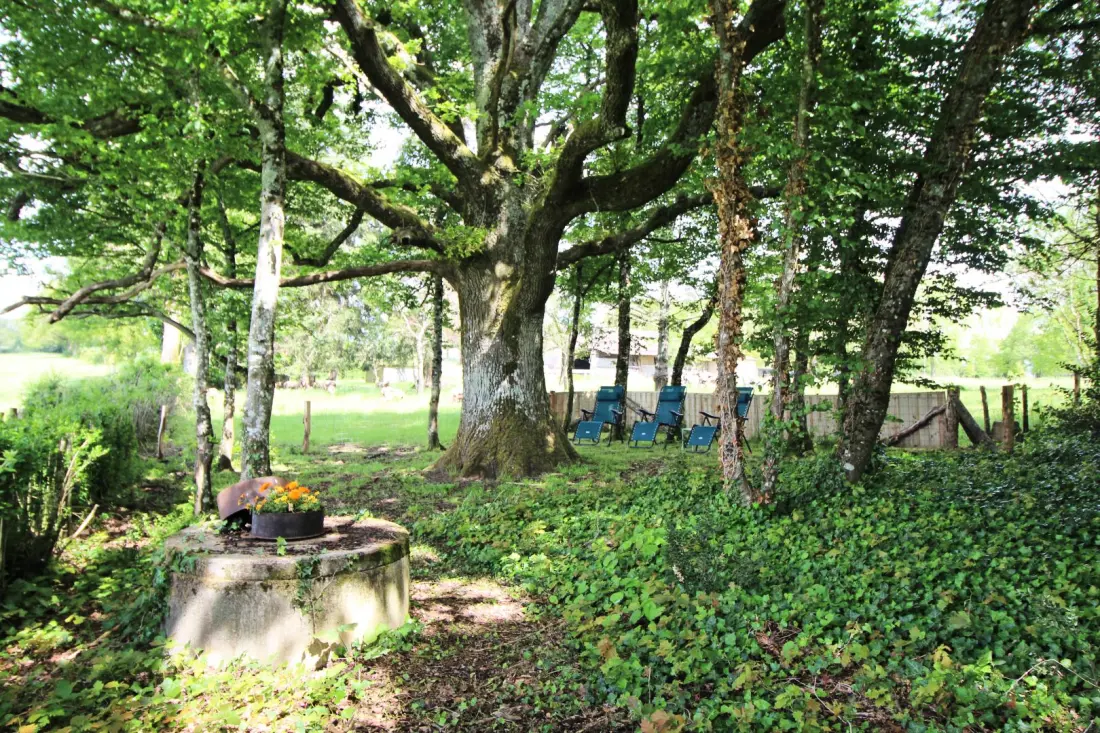 Gîte de France Het huis van Claire 3 afleveringen