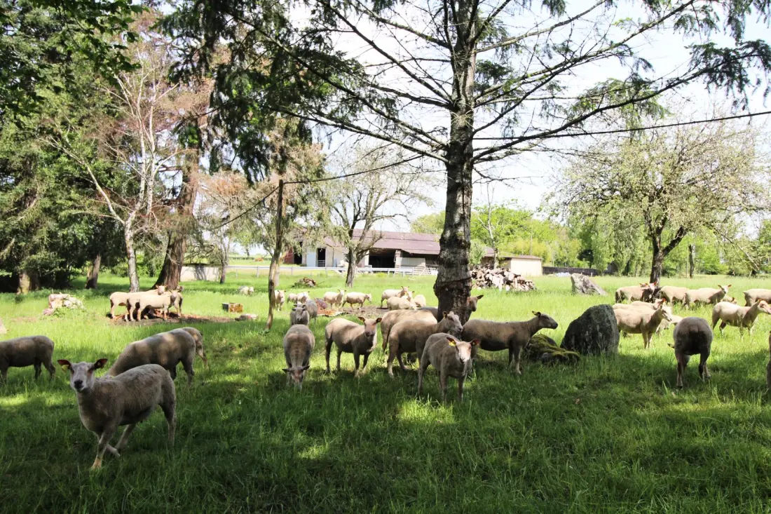 Gîte de France Het huis van Claire 3 afleveringen