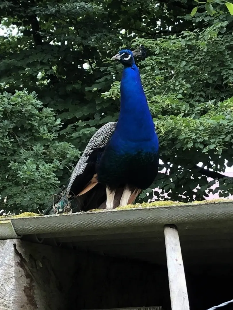 Gîte de France Het huis van Claire 3 afleveringen
