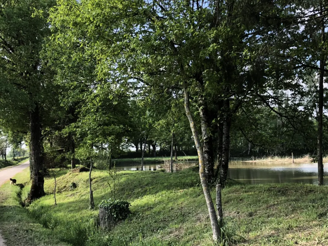 Gîte de France Het huis van Claire 3 afleveringen