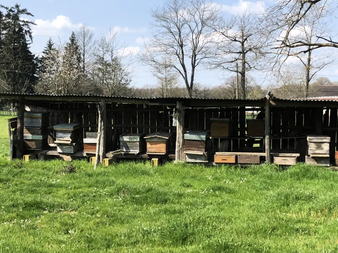 Gîte de France Het huis van Claire 3 afleveringen