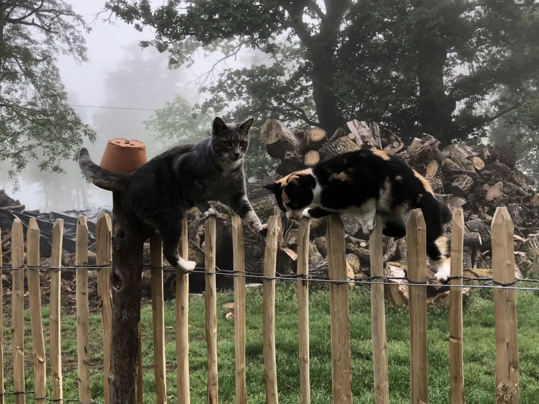 Gîte de France Het huis van Claire 3 afleveringen
