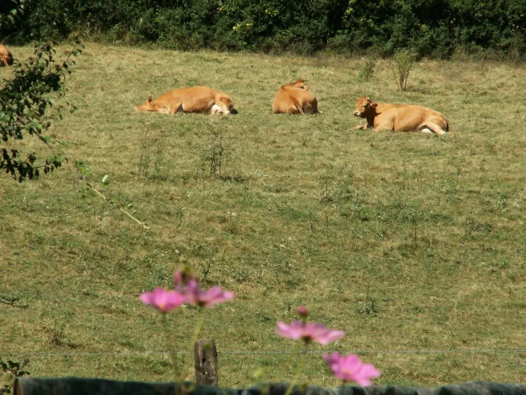 Gîte de France Mounisms du bas 3 oren