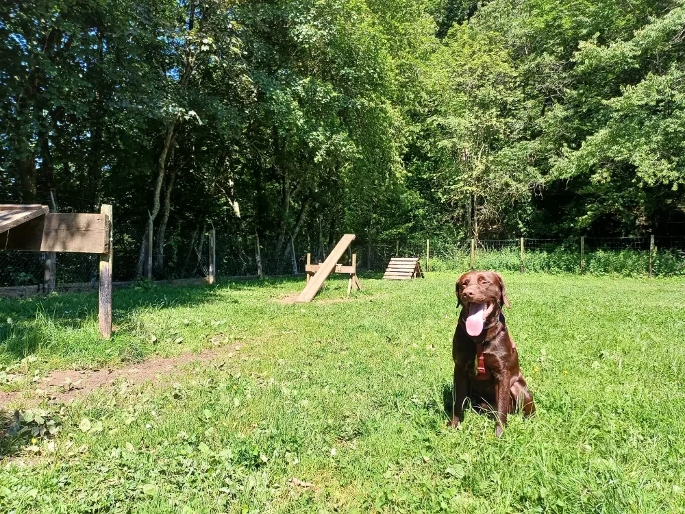 Campingplatz Wirfttal