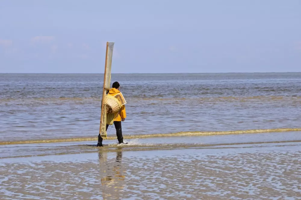 Foresta Stella-Plage #